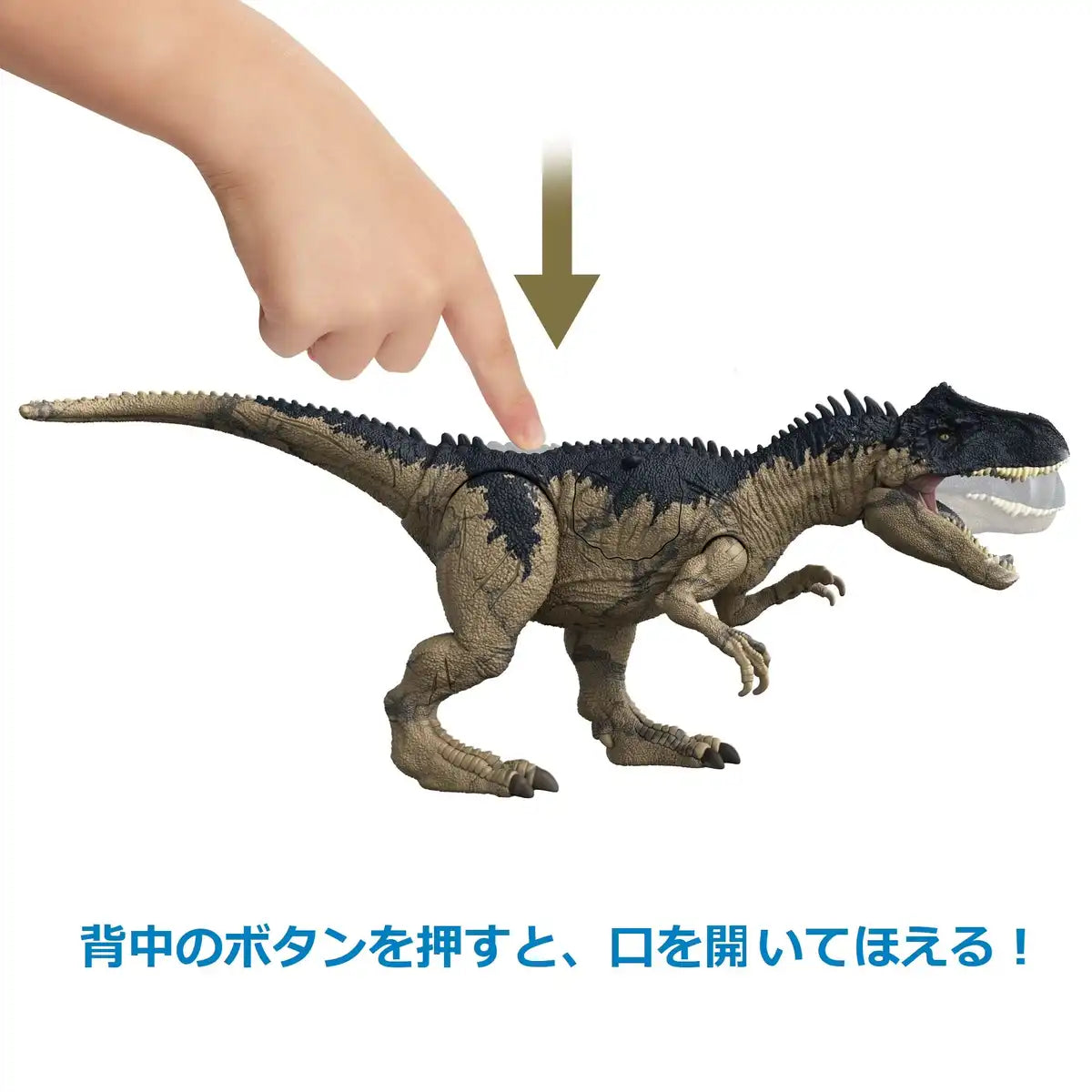 Matel Jurassic World Hfk06 New Ruler Damage Beige Japanese Action Figures Dinosaur Models- Japan Figure Store - #1 Bring To You The Best Japanese Goods