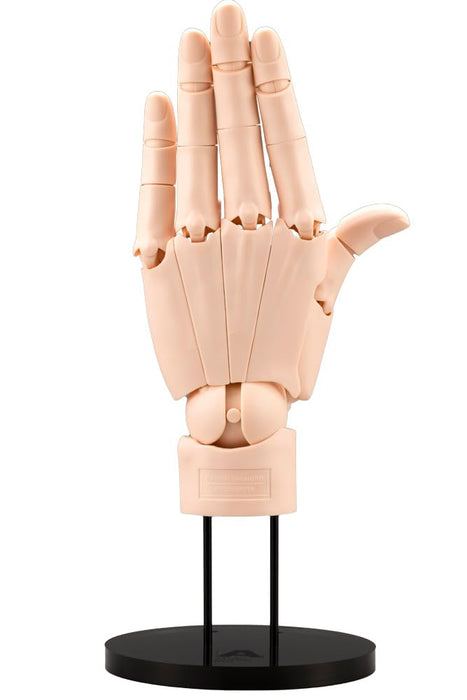 Kotobukiya Artist Support Hand Model 1/1 Life-Size L Pale Orange- Japan Figure Store - #1 Bring To You The Best Japanese Goods