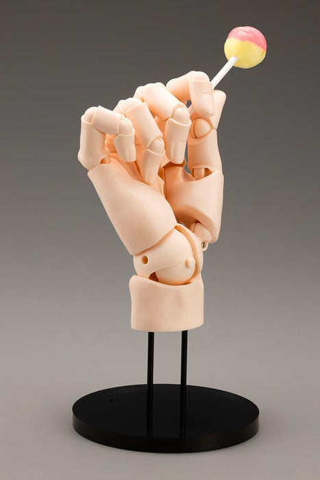 Kotobukiya Artist Support Hand Model 1/1 Life-Size L Pale Orange- Japan Figure Store - #1 Bring To You The Best Japanese Goods
