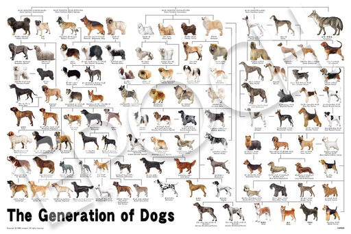 Epoch 1000-Piece Jigsaw Puzzle Dog Family Tree 50x75cm with Glue and Tools
