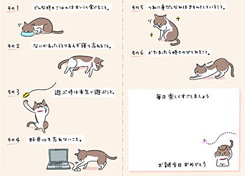 Sanrio Birthday Celebration Cats 200Bd - Learn and Enjoy Life Together- Japan Figure Store - #1 Bring To You The Best Japanese Goods