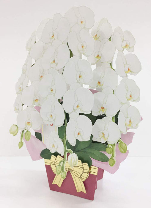 Sanrio Celebration Butterfly Pop-Up Card CR31-8 L 231- Japan Figure Store - #1 Bring To You The Best Japanese Goods