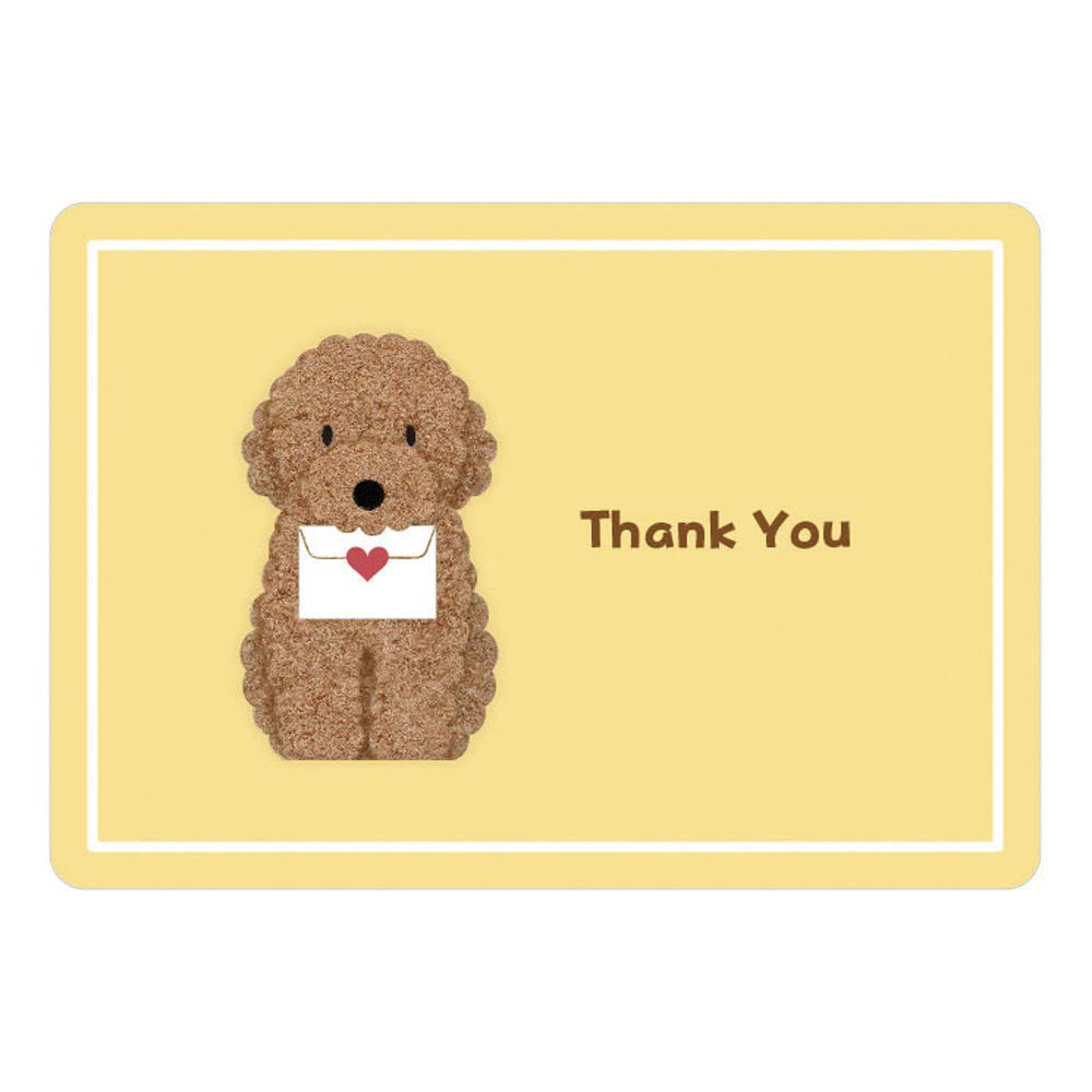 Sanrio Thank You Card Toy Poodle P5248 - Cute Greeting Cards for Kids and Fans- Japan Figure Store - #1 Bring To You The Best Japanese Goods