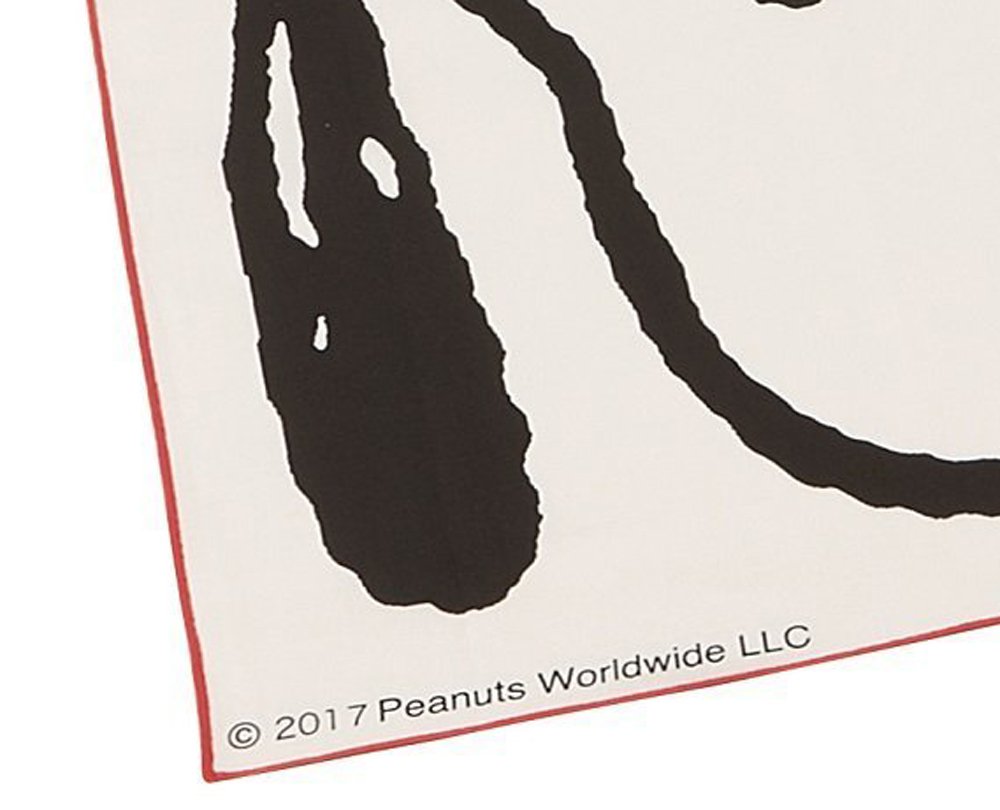 Skater Snoopy Face Lunch Box with 43x43cm Cloth Made in Japan- Japan Figure Store - #1 Bring To You The Best Japanese Goods