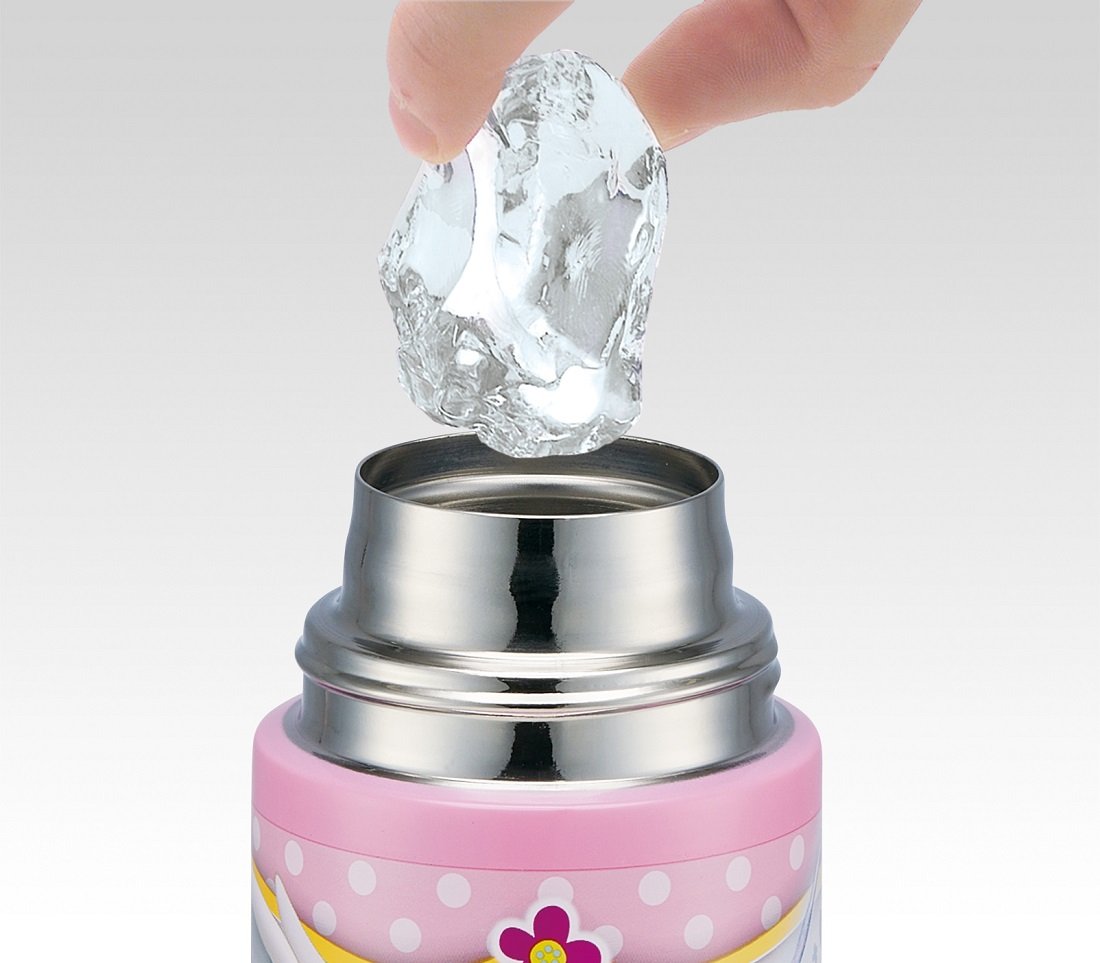 Skater Sophia Sdc6N Stainless Steel 580ml Kids Water Bottle- Japan Figure Store - #1 Bring To You The Best Japanese Goods