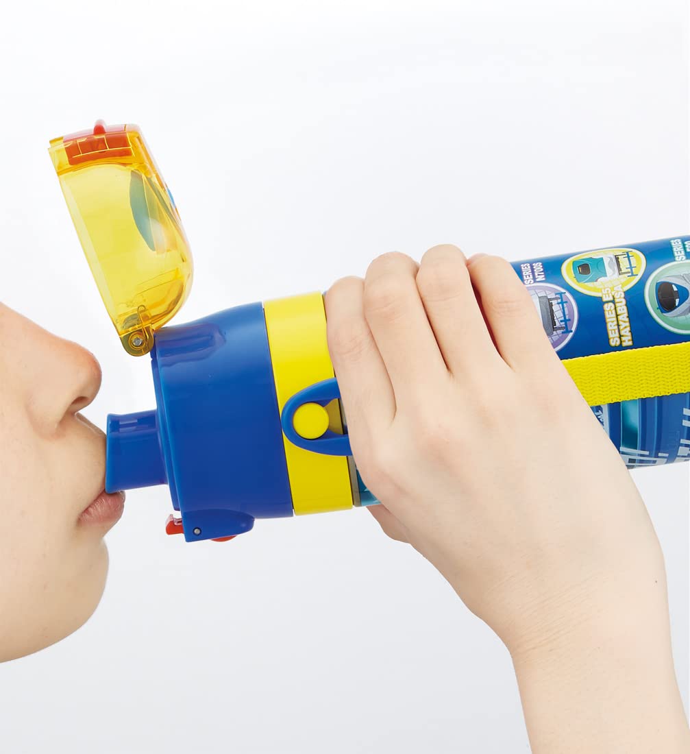 Skater Boys Stainless Steel 470Ml Water Bottle for Kids Plarail 22 Sdc4-A- Japan Figure Store - #1 Bring To You The Best Japanese Goods