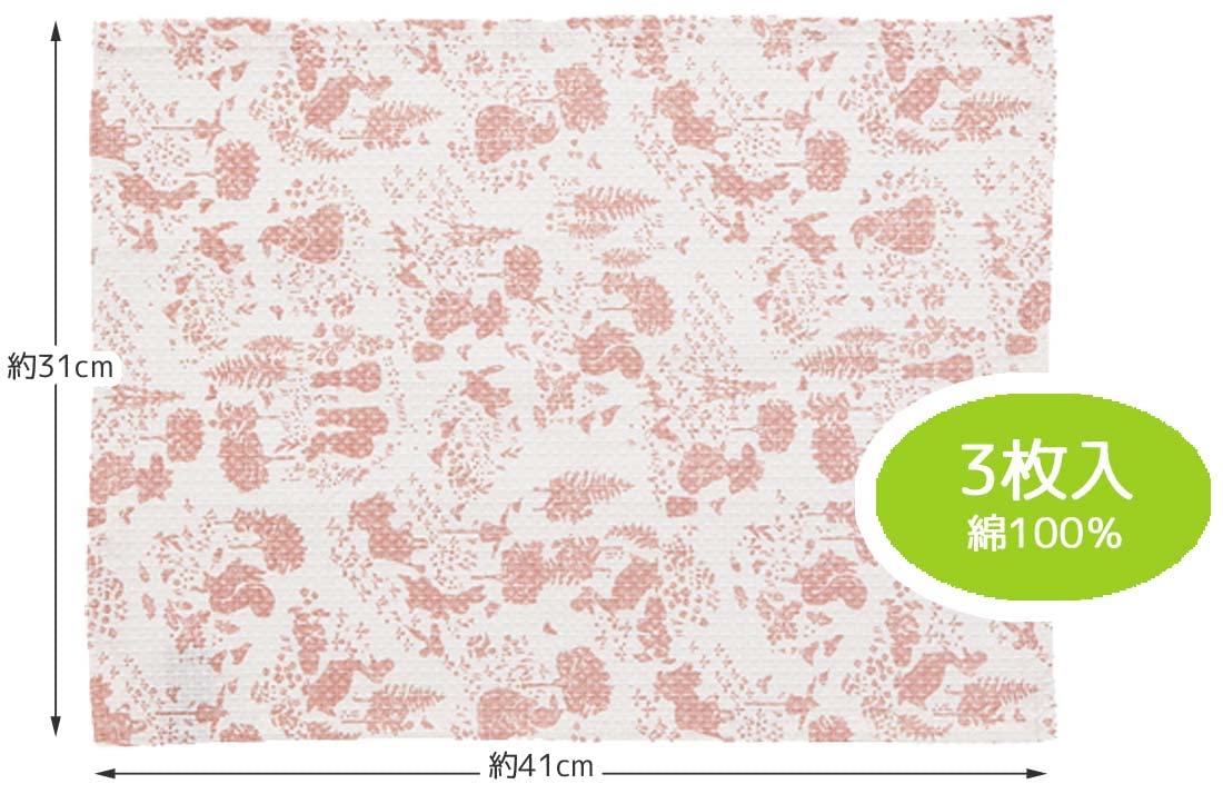 Skater Peter Rabbit Waffle Weave Dish Cloth Set 31 x 41cm 3 Pack- Japan Figure Store - #1 Bring To You The Best Japanese Goods