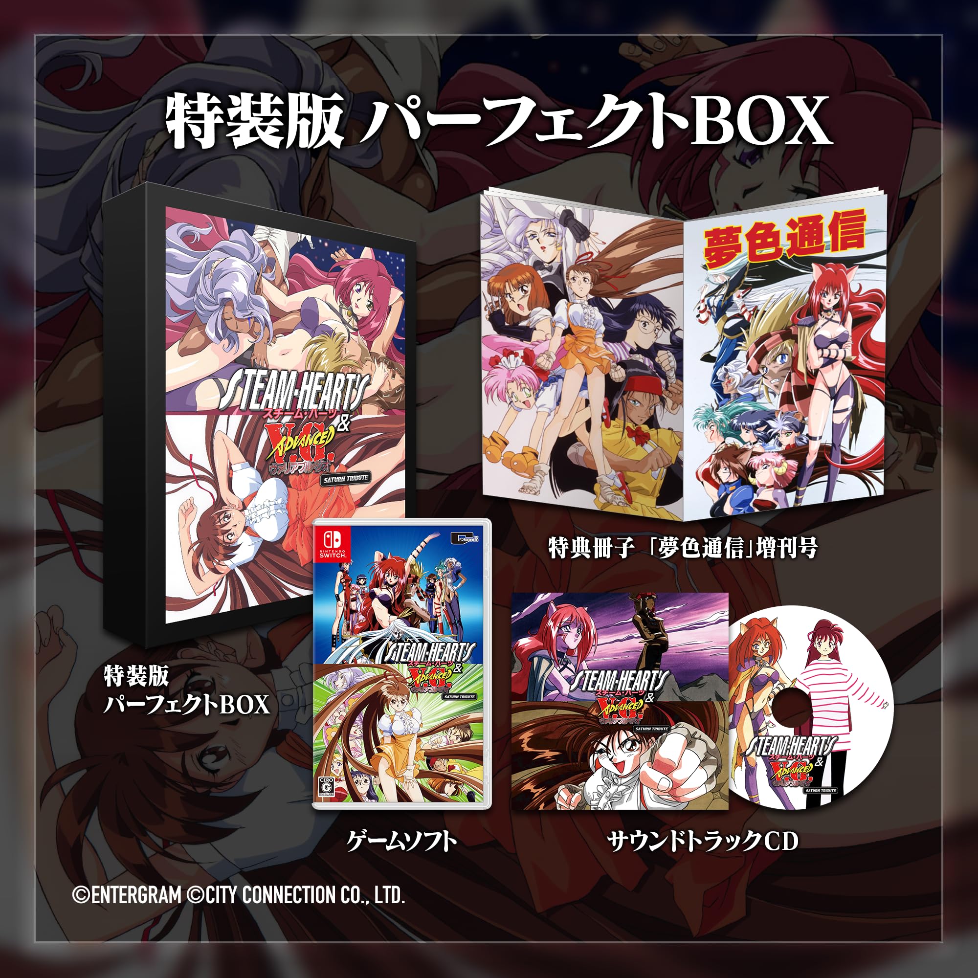 City Connection Saturn Tribute Special Edition Perfect Box for Switch- Japan Figure Store - #1 Bring To You The Best Japanese Goods