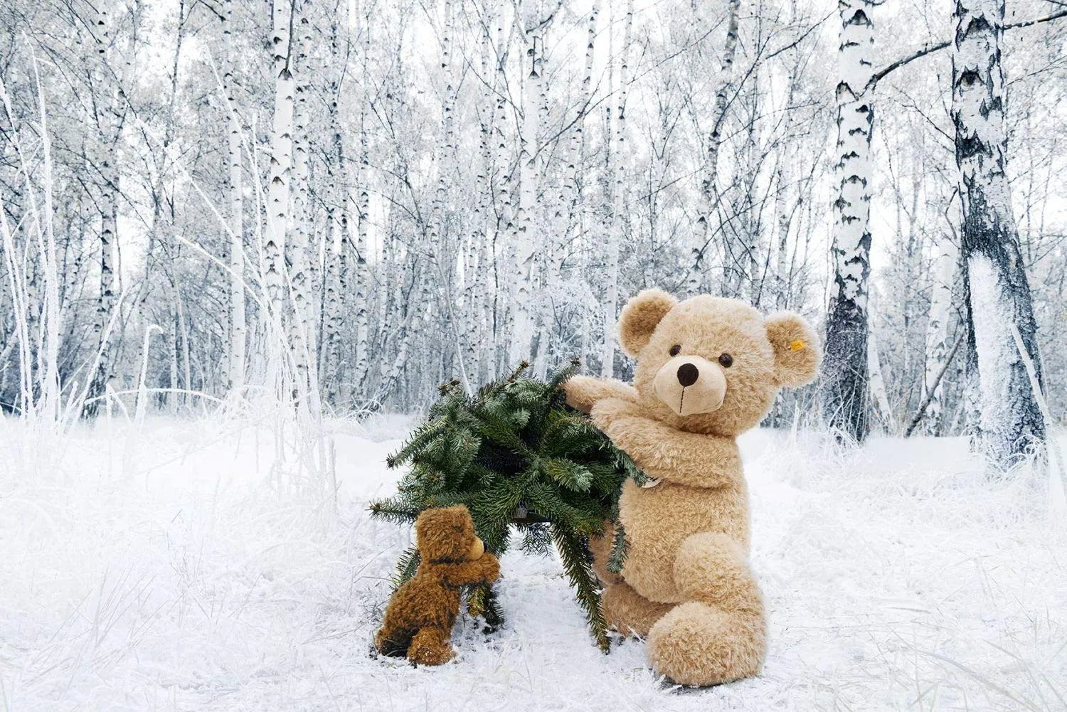 Steiff Teddy Bear Charly 30cm Place For You To Buy Plush Toy Online In Japan- Japan Figure Store - #1 Bring To You The Best Japanese Goods