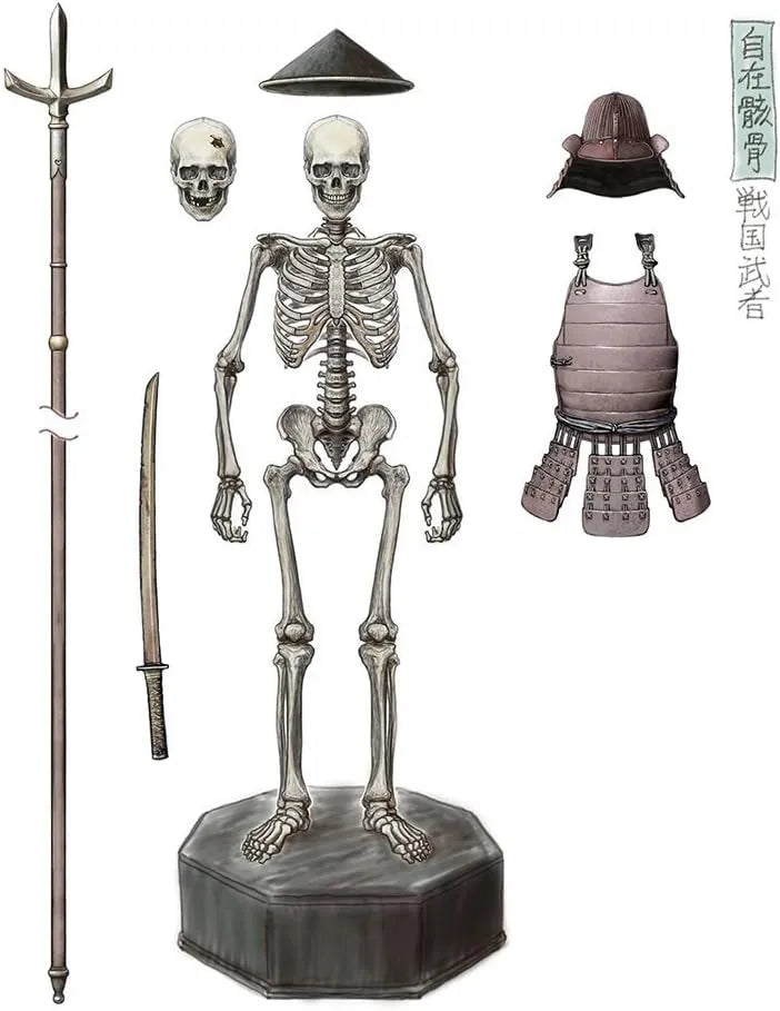 Kaiyodo Takeya Skeleton Warrior Painted PVC ABS Figure 150mm