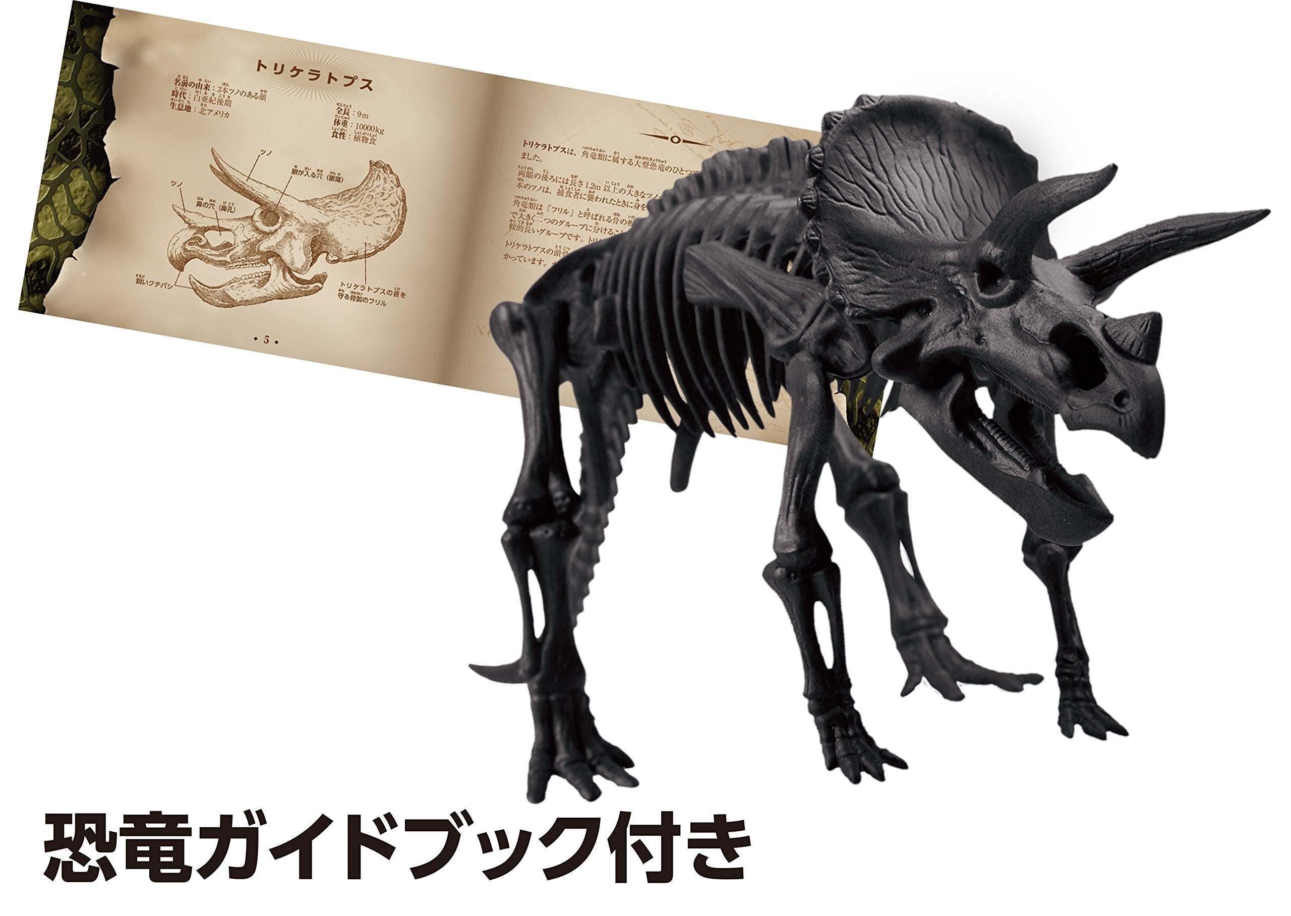 BEVERLY 3D Puzzle Dn-007 Dinosaur Triceratops 10 Pieces- Japan Figure Store - #1 Bring To You The Best Japanese Goods