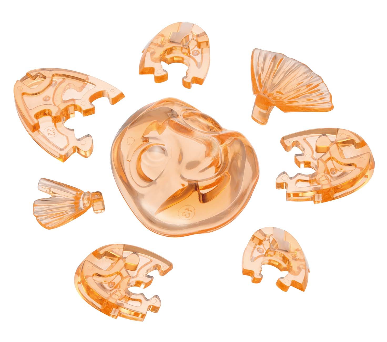 Hanayama Crystal Gallery 3D Puzzle Disney Finding Nemo 34 Pieces Japanese 3D Puzzle Figure- Japan Figure Store - #1 Bring To You The Best Japanese Goods