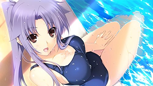 5Pb.Games Lovely×Cation 1&2 Psvita - Used Japan Figure 4582325379321 1