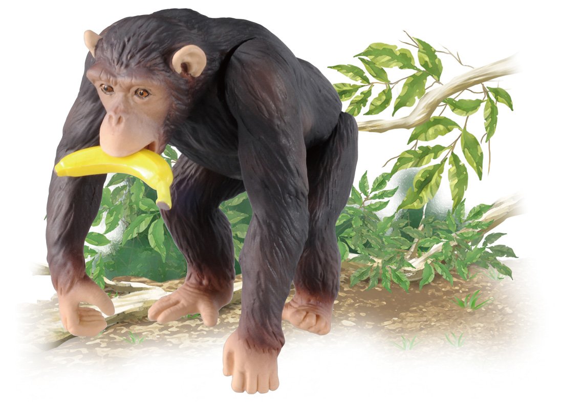 TAKARA TOMY As-14 Animal Adventure Chimpanzee Figure- Japan Figure Store - #1 Bring To You The Best Japanese Goods