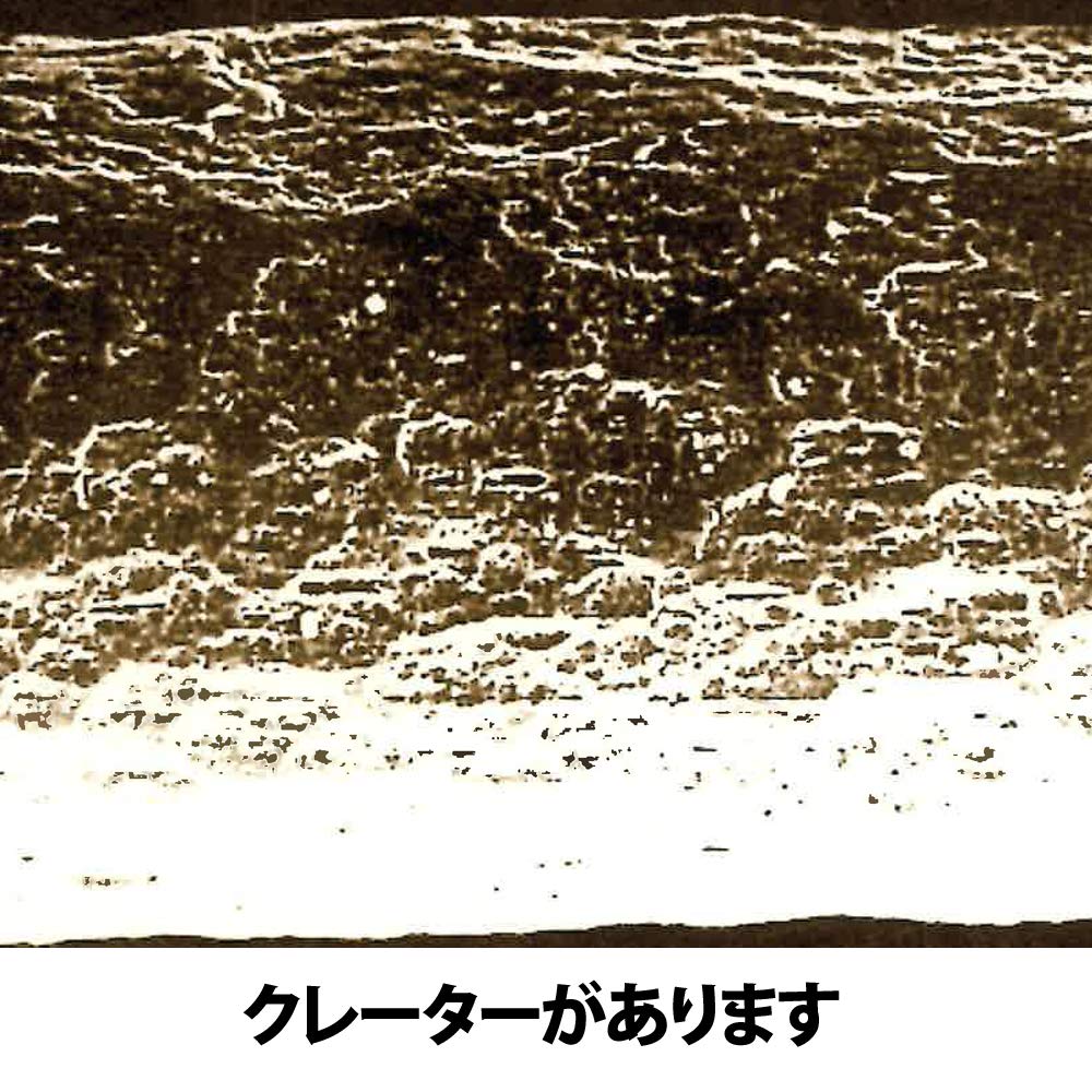 Athena Lovia 7500 Series #12 Filbert Brush- Japan Figure Store - #1 Bring To You The Best Japanese Goods