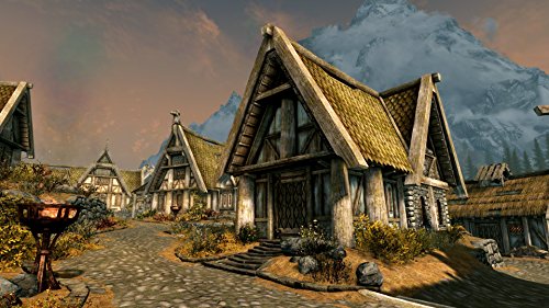 Bethesda The Elder Scrolls V Skyrim Nintendo Switch - Used Japan Figure 4902370538915 4