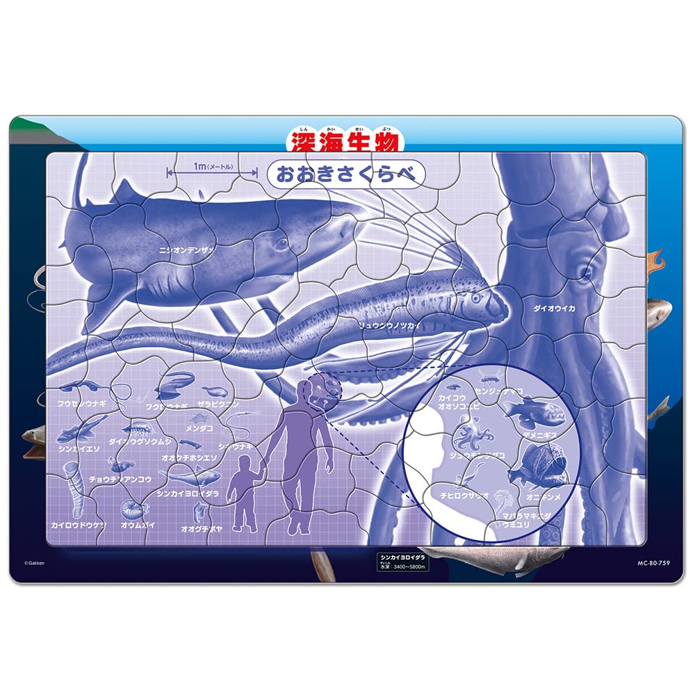 TENYO Jigsaw Puzzle Deep Sea Creatures W/ Japanese Names 80 Pieces Child Puzzle- Japan Figure Store - #1 Bring To You The Best Japanese Goods