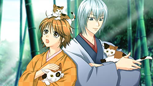 D3 Publisher Bakumatsu Renka Shinsengumi: Jinchuu Houkoku No Shi For Nintendo Switch - New Japan Figure 4527823998582 2