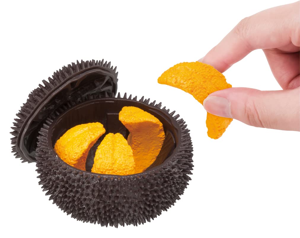 Megahouse Sea Urchin Kaitai Puzzle Series Buy Self-Assembly Food Puzzle Made In Japan- Japan Figure Store - #1 Bring To You The Best Japanese Goods