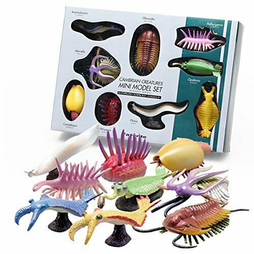 Favorite Cambrian Creatures Mini Model Burgess Series Dinosaur Figure 9set- Japan Figure Store - #1 Bring To You The Best Japanese Goods