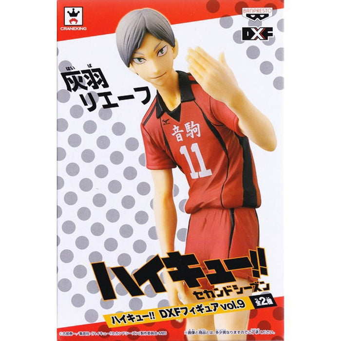 Banpresto Japan Haikyuu!! Dxf Figure Vol.9 Haibane Leif Single Item- Japan Figure Store - #1 Bring To You The Best Japanese Goods