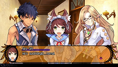 Kadokawa Games Demon Gaze Global Edition Psvita - Used Japan Figure 4582350660159 3