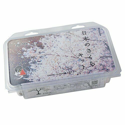 Kato Japanese Cherry Cherry Blossom Tree Kit 12 Pieces- Japan Figure Store - #1 Bring To You The Best Japanese Goods