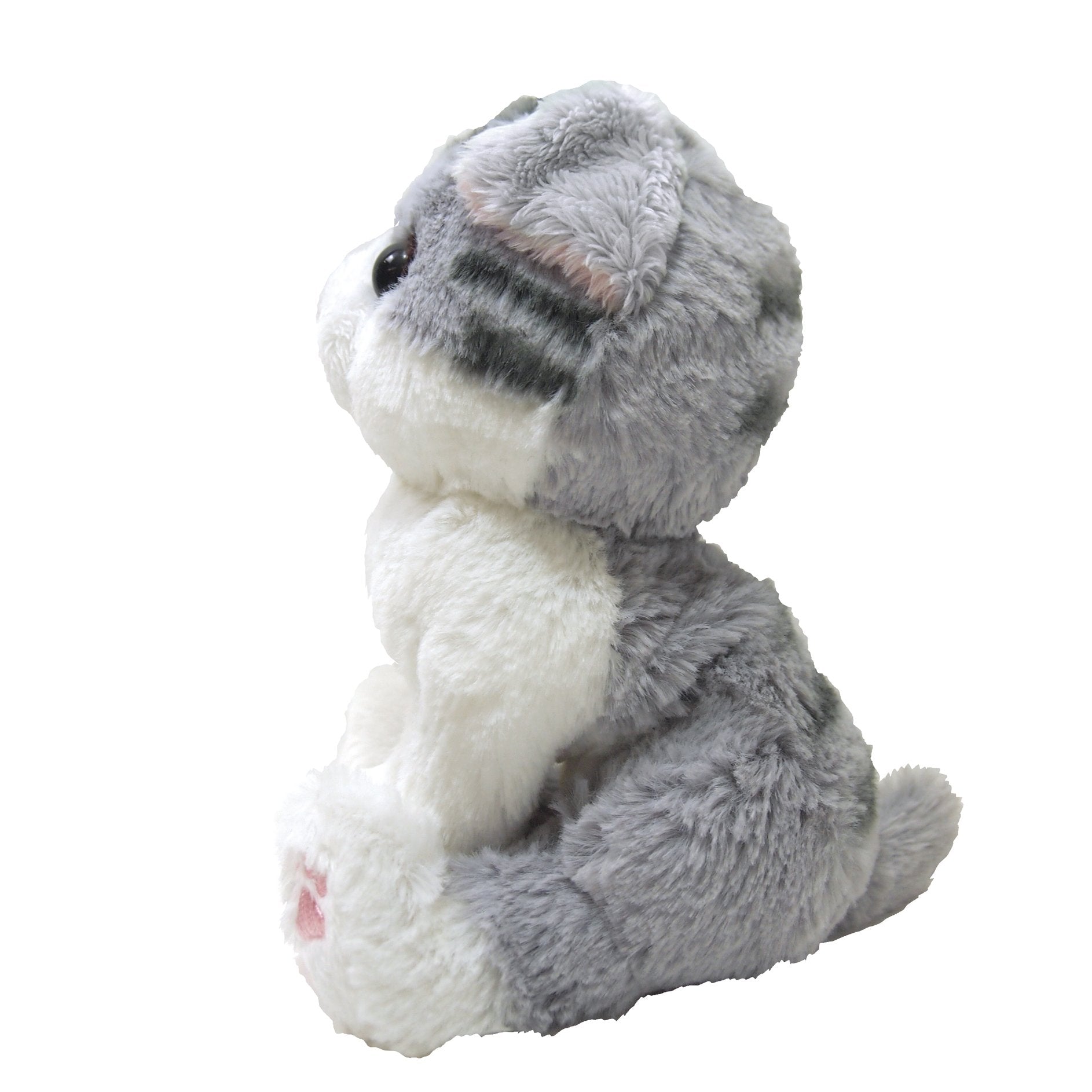 SUNLEMON Plush Doll Kitten Scottish Fold Gray Size S Tjn- Japan Figure Store - #1 Bring To You The Best Japanese Goods
