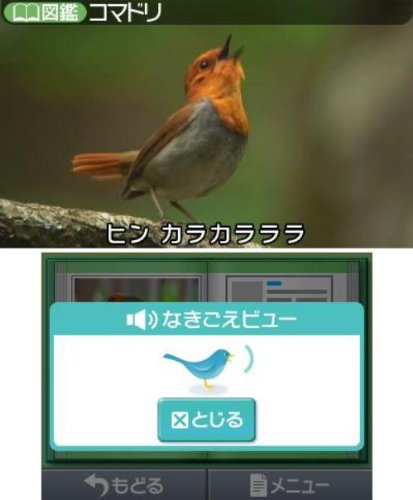 Nintendo Hana To Ikimo No Rittai Zukan 3Ds - Used Japan Figure 4902370518917 3