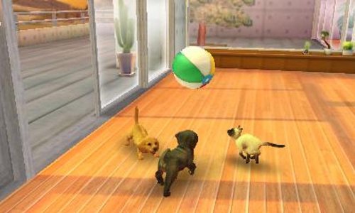 Nintendo Nintendogs Cats Toy Poodle And New Friends 3Ds Used