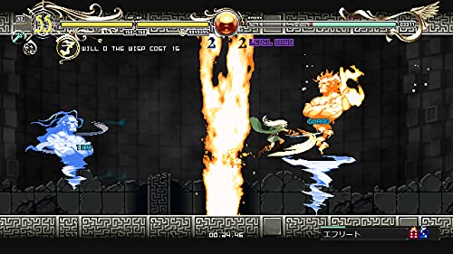 Playism Record Of Lodoss War: Deedlit In Wonder Labyrinth For Sony Playstation Ps4 - Pre Order Japan Figure 4589794580234 3