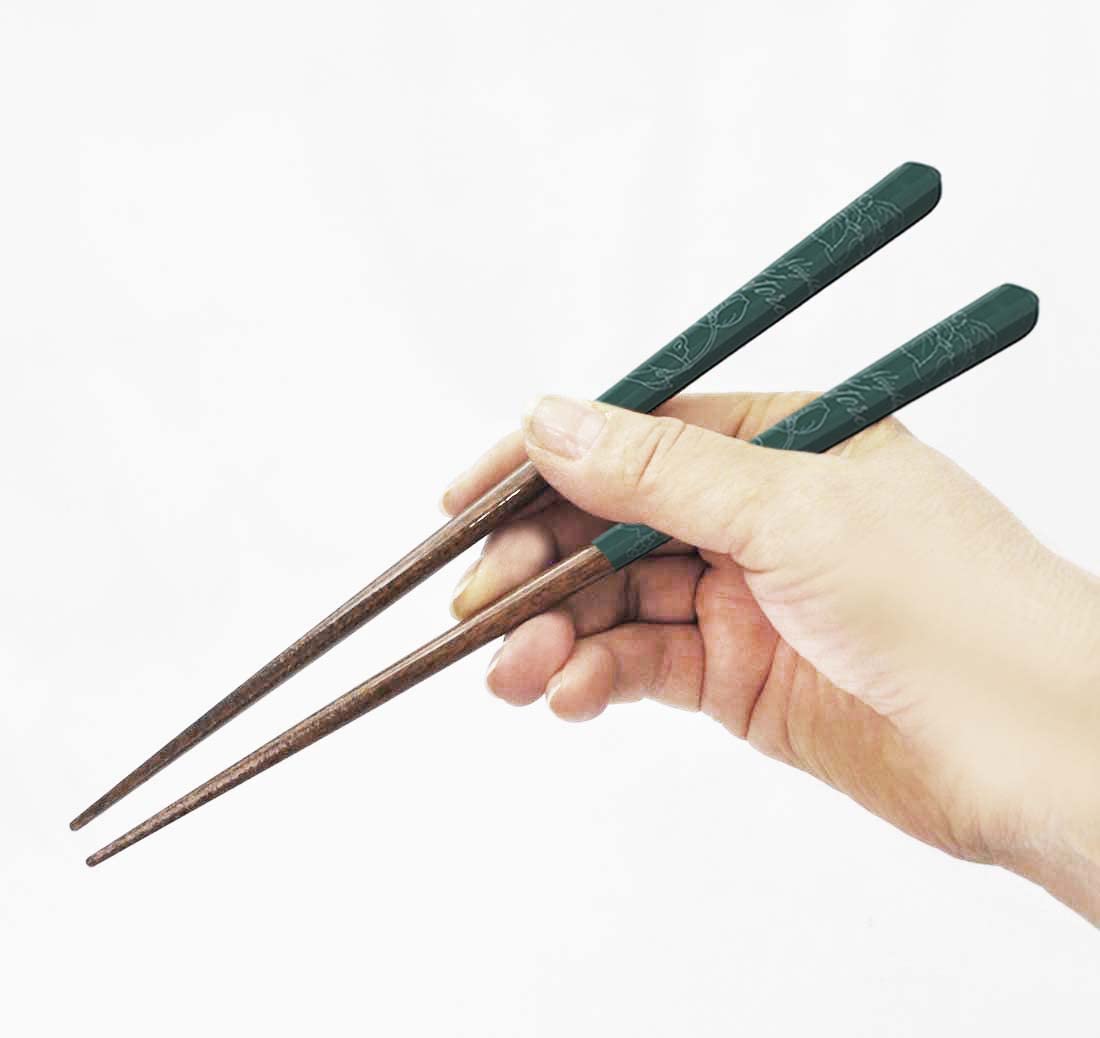 Skater 21cm My Neighbor Totoro Green Studio Ghibli Chopsticks Ann4Sq-A- Japan Figure Store - #1 Bring To You The Best Japanese Goods