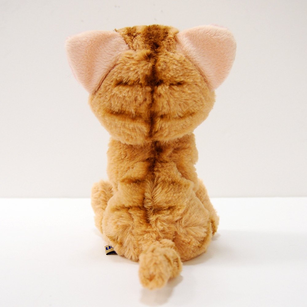 SUNLEMON Plush Doll Kitten American Shorthair Brown Size S Tjn- Japan Figure Store - #1 Bring To You The Best Japanese Goods
