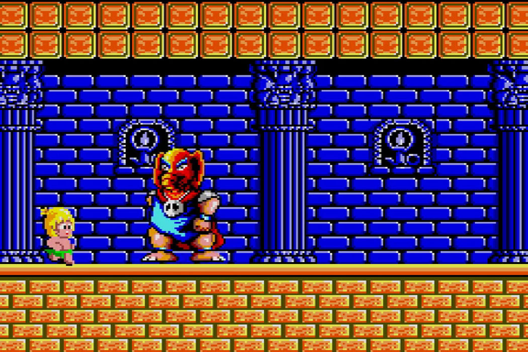 Sw Version Wonder Boy Ultimate Collection Special Pack- Japan Figure Store - #1 Bring To You The Best Japanese Goods