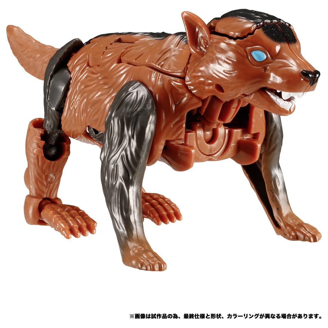 Takara Tomy Legacy Transformers TL-61 Tasmanian Kid Toy- Japan Figure Store - #1 Bring To You The Best Japanese Goods