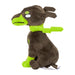 Pokemon Center Zygarde 10 Form Plush Toy 718 Pokémon Fit Collectible- Japan Figure Store - #1 Bring To You The Best Japanese Goods