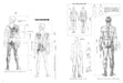 Basics For Drawing Person Quickly Male Book- Japan Figure Store - #1 Bring To You The Best Japanese Goods