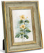 Afuly 10x15cm Antique Green Gold Photo Frame for Wall Hanging Decor- Japan Figure Store - #1 Bring To You The Best Japanese Goods