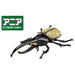 Takara Tomy Ania AS-38 Hercules Beetle Educational Toy Model- Japan Figure Store - #1 Bring To You The Best Japanese Goods