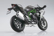 Aoshima 1/12 Kawasaki Ninja H2 Carbon '19 Model- Japan Figure Store - #1 Bring To You The Best Japanese Goods