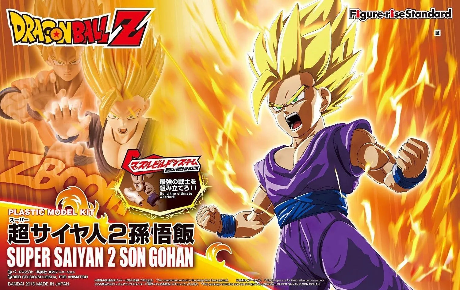 Bandai Figure-rise Standard Super Saiyan 2 Gon Gohan Model Kit Dragon Ball