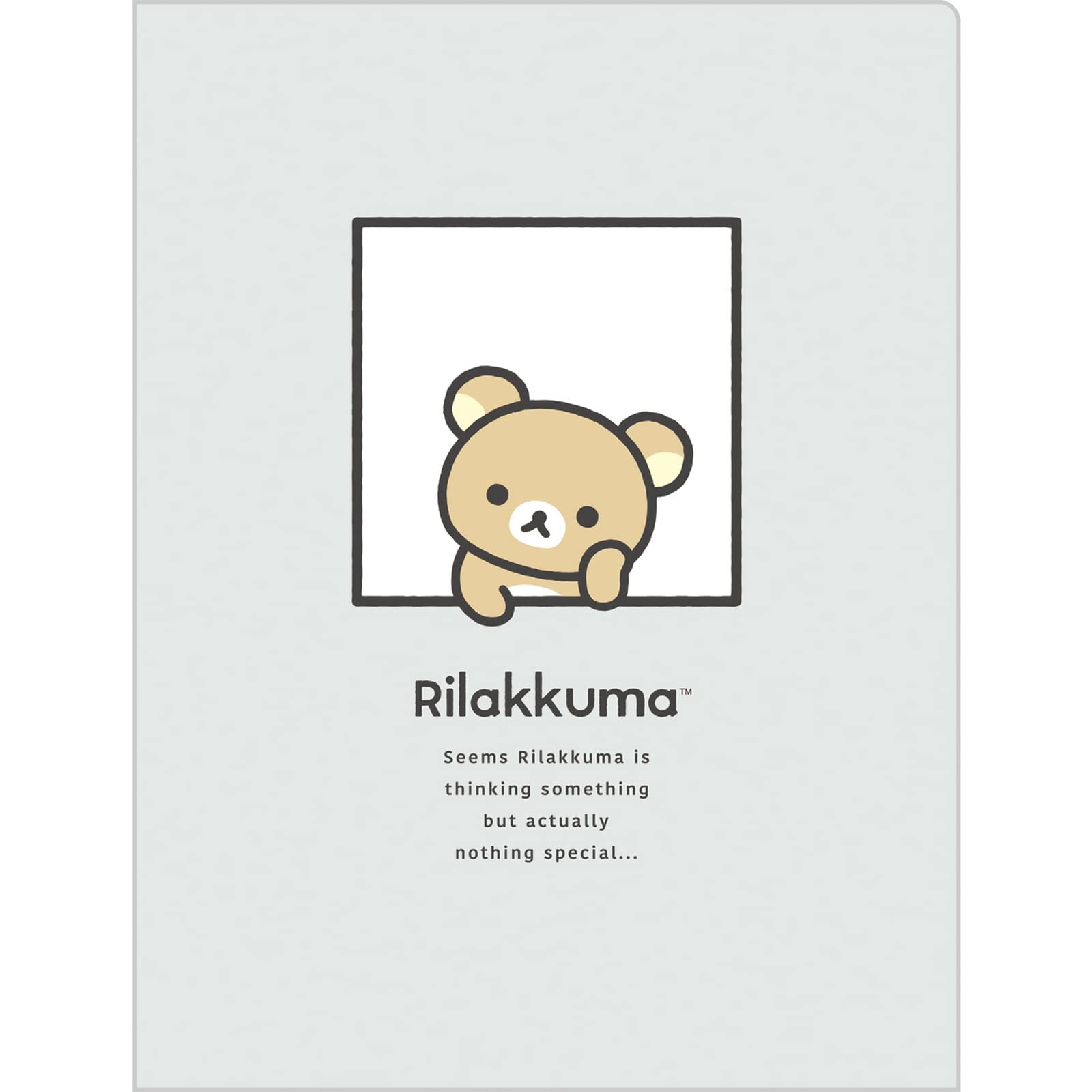 San-X Rilakkuma Clear Folder with 10 Pockets - Ideal for Organizing Documents- Japan Figure Store - #1 Bring To You The Best Japanese Goods