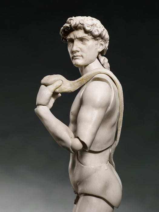Freeing Figma David Statue Movable Figure Non-Scale PVC ABS Painted Finish