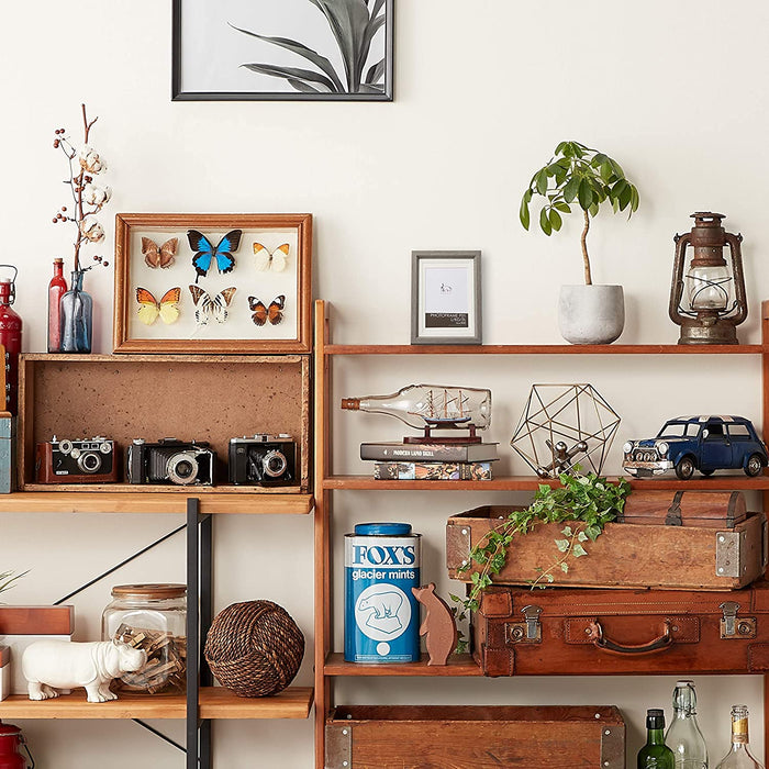 Hakuba Chululu Photo Frame Gray Fits Size L Kg 2L Fchl-P01Gy- Japan Figure Store - #1 Bring To You The Best Japanese Goods