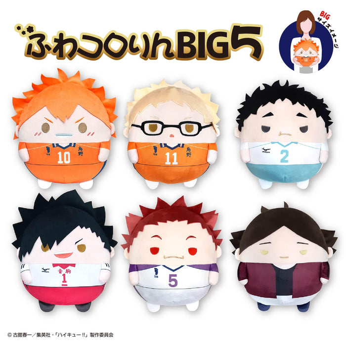 Max Limited Hq-96 Haikyu Fuwakororin Big Tsukishima Kei Plush Toy- Japan Figure Store - #1 Bring To You The Best Japanese Goods