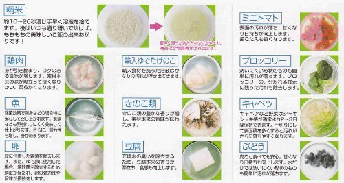 Japan Kampo Research Institute Sea Vegetable and Fruit Wash 90g Scallop Power- Japan Figure Store - #1 Bring To You The Best Japanese Goods