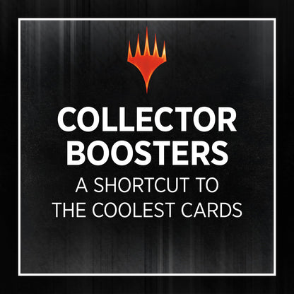 Wizards Of The Coast Magic The Gathering Karlov Mansion Collector Booster 12 Packs - English version