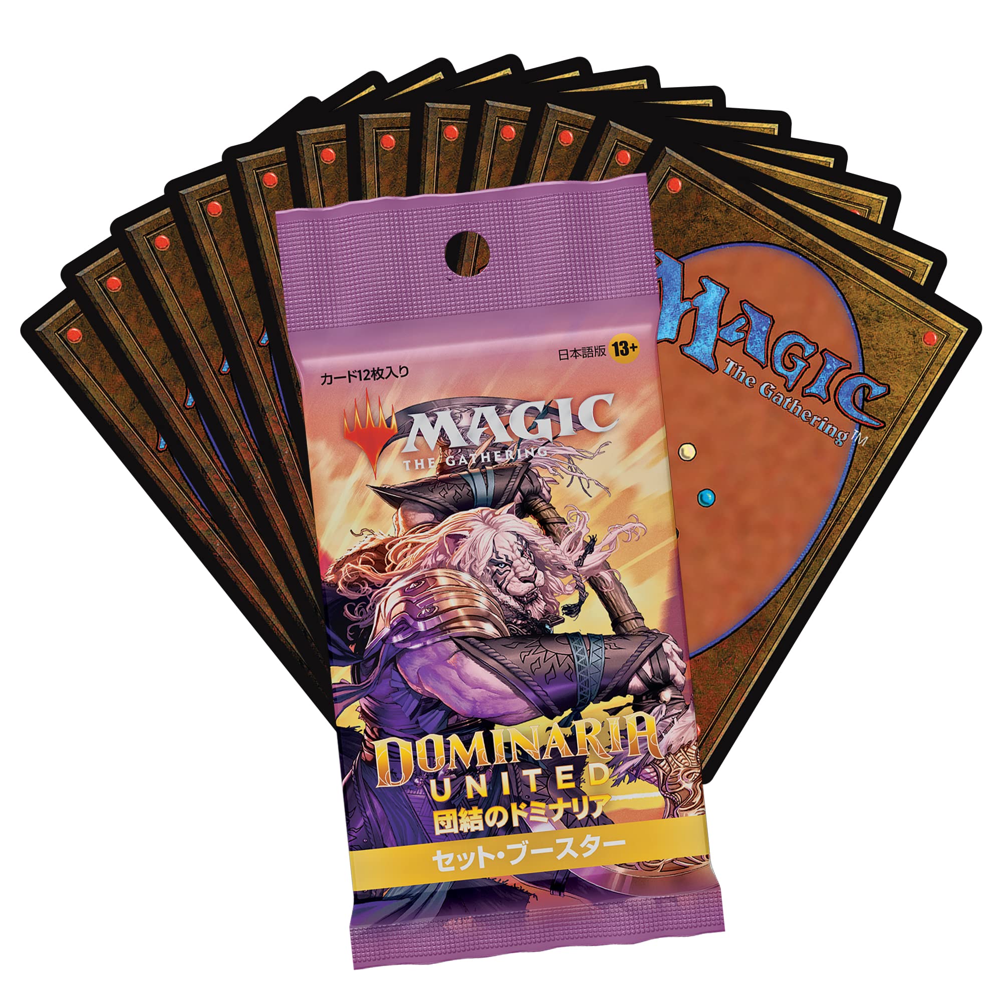 Wizards Magic The Gathering Trading Card Game Japanese Booster Solidarity Set- Japan Figure Store - #1 Bring To You The Best Japanese Goods