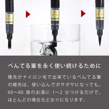 Pentel XFL2W Japanese Paper Brush Pen Black Ink- Japan Figure Store - #1 Bring To You The Best Japanese Goods