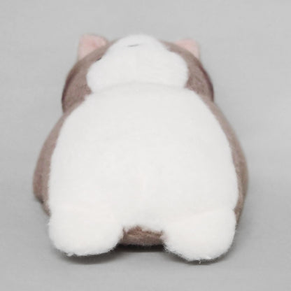 Sanei Boeki Chirumite Cat Plush Toy W11xD15xH12cm - Soft & Cuddly Stuffed Animal